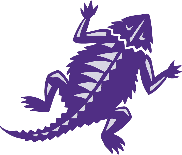 TCU Horned Frogs 2001-Pres Alternate Logo iron on transfers for clothing